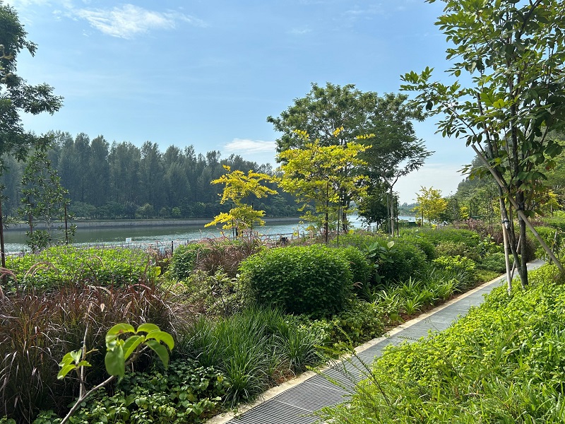 Nature is integrated with Punggol Digital District.