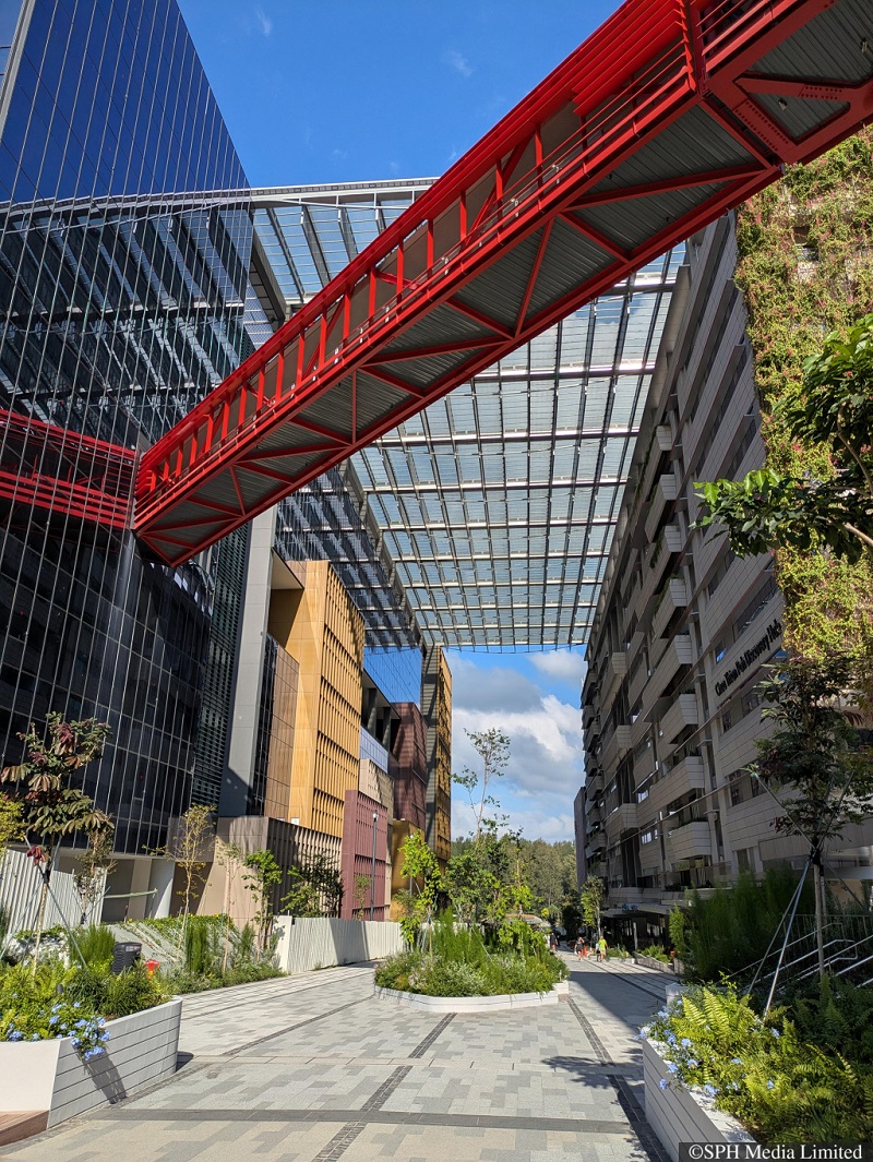 Punggol Digital District's distinctive architecture has become a draw for visitors. 