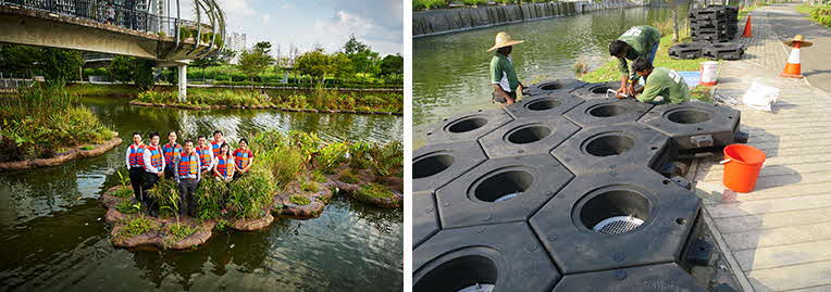 Figure 8 and 9. A floating platform designed to create man-made wetlands in Punggol. Source: Housing & Development Board