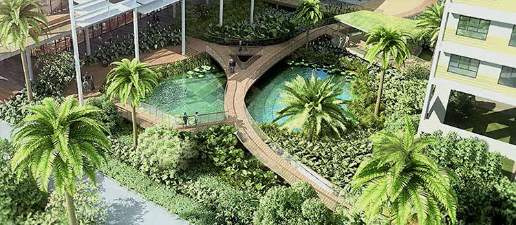 Figure 10. Punggol Northshore artists’ impression, showing the implementation of a HDB Biophilic Town Framework featuring a dragonfly pond and incorporating native plant species into the landscape, as well as how green cover is integrated into recreational spaces. Source: Housing & Development Board