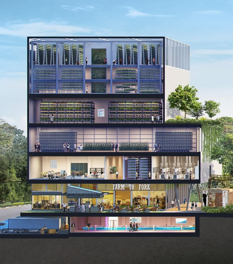 Cross-section of a building depicting vertical farming and a related mix of synergistic businesses at the Agri-Food Innovation Park (AFIP)